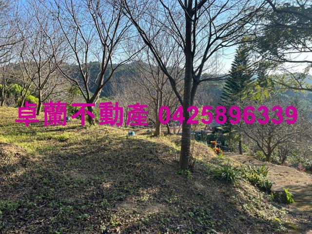 苗栗卓蘭農地-5