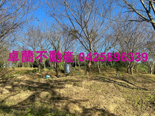 苗栗卓蘭農地-7