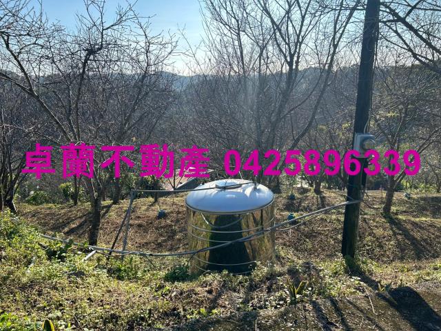 苗栗卓蘭農地-1