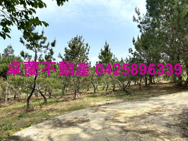 苗栗卓蘭農地-12