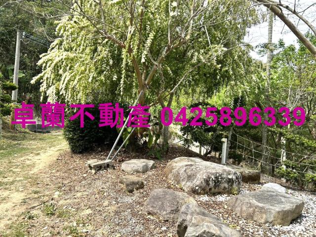 苗栗卓蘭農地-14