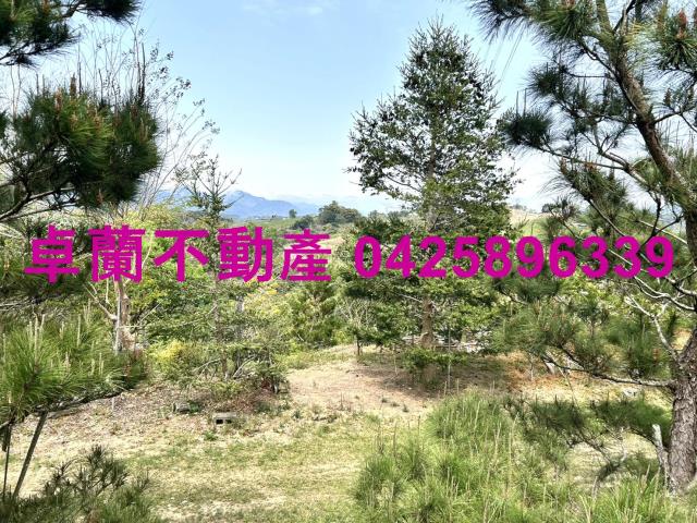 苗栗卓蘭農地-4