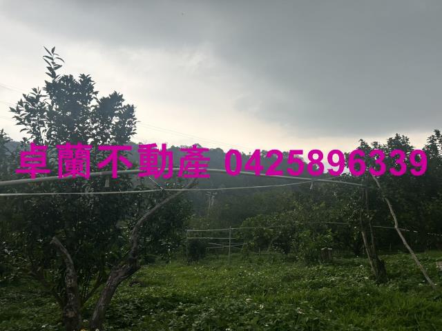 卓蘭農地-8