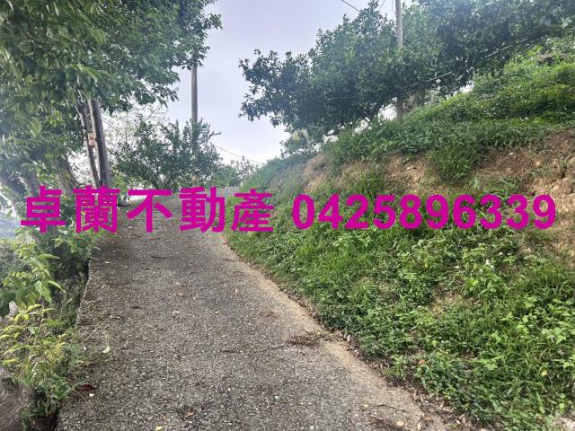 卓蘭農地-1