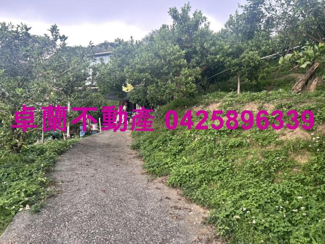 卓蘭農地-3
