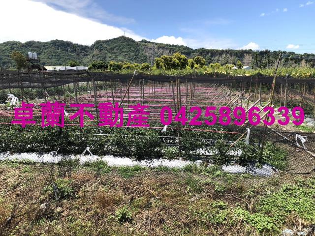 苗栗農地-5