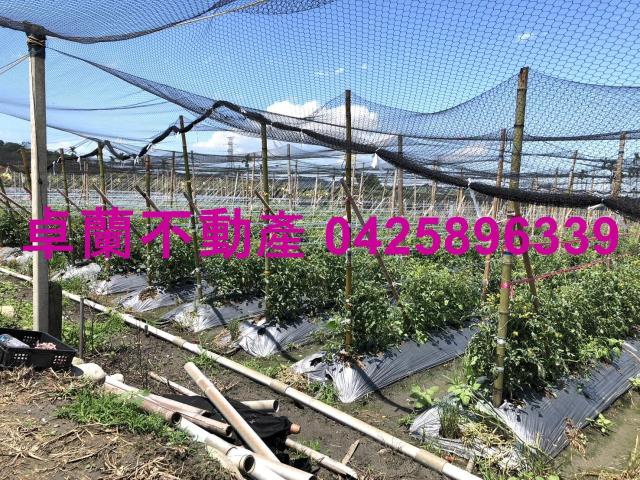 苗栗農地-7