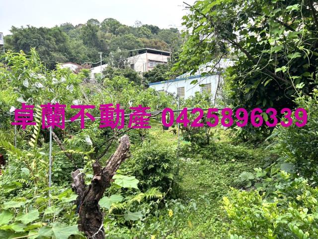 苗栗卓蘭農地-1