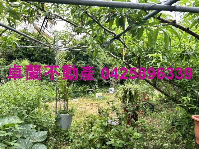 苗栗卓蘭農地-4