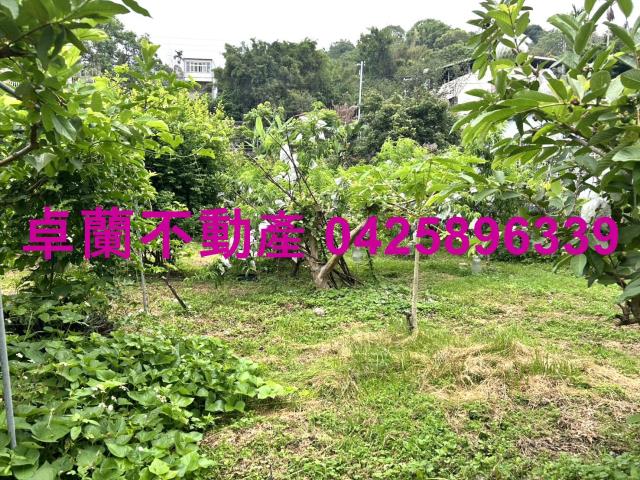 苗栗卓蘭農地-8
