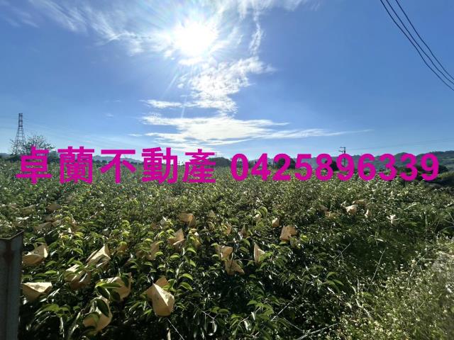 卓蘭農地-0