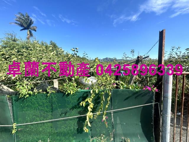 卓蘭農地-7