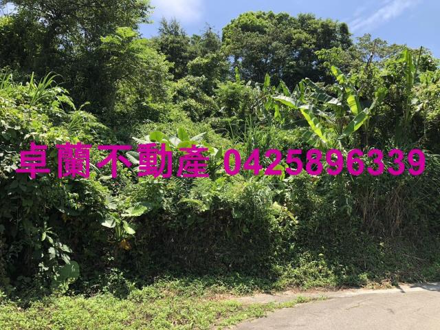 苗栗卓蘭農地-1