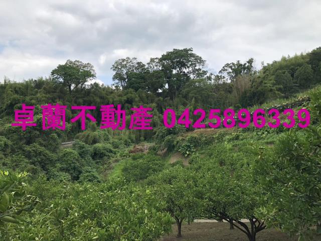 苗栗卓蘭農地-3