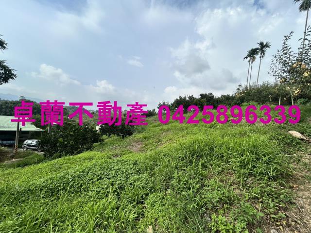 卓蘭農地-10