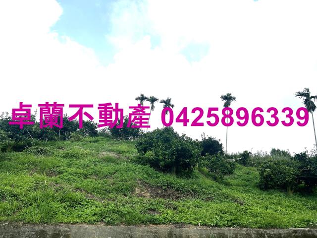 卓蘭農地-0