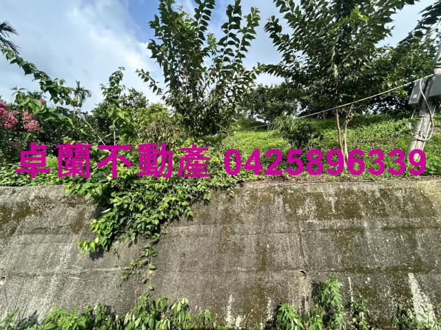 卓蘭農地-6