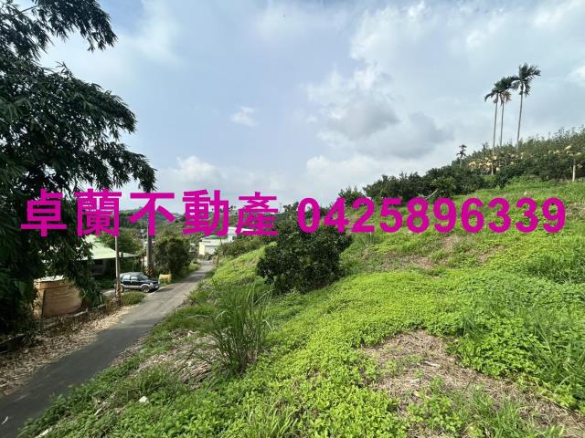 卓蘭農地-7