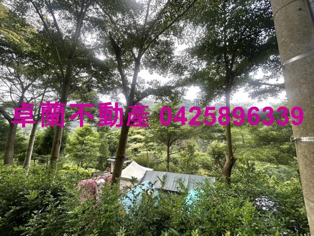 苗栗卓蘭農地-12