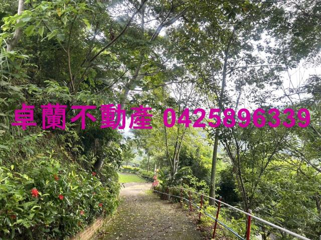 苗栗卓蘭農地-13