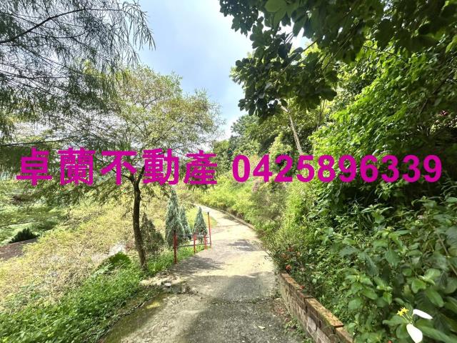 苗栗卓蘭農地-7