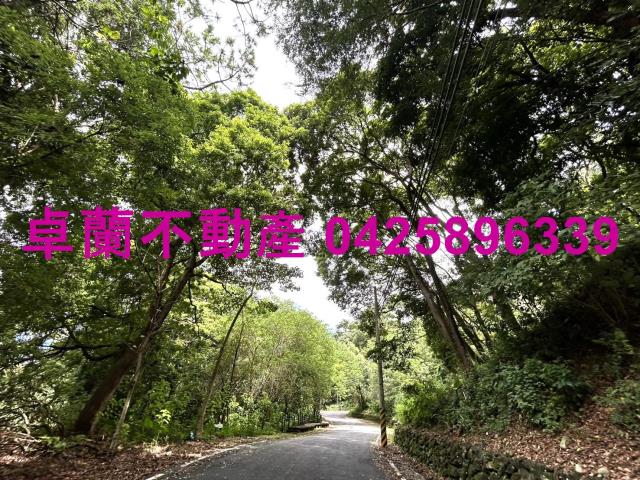 苗栗卓蘭農地-0