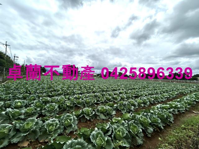 苗栗卓蘭農地-3