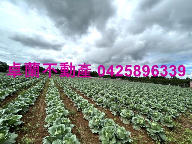 苗栗卓蘭農地-7