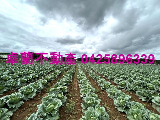 苗栗卓蘭農地-8