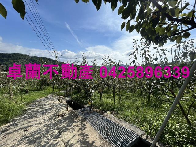 卓蘭農地-10