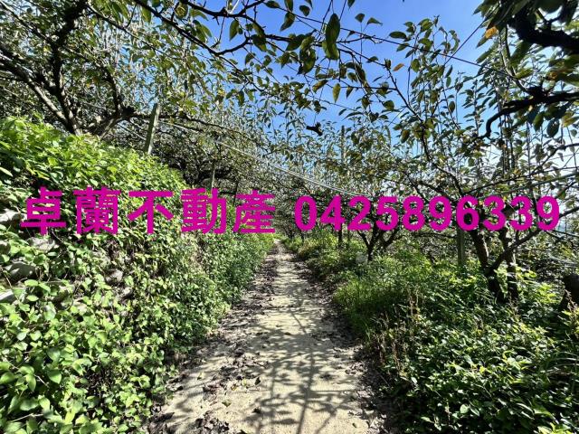 卓蘭農地-1