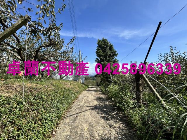 卓蘭農地-3