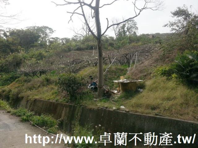 卓蘭農地-2