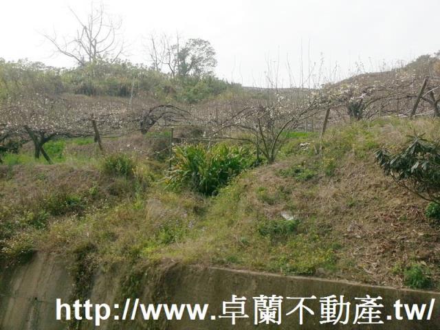 卓蘭農地-9
