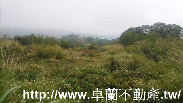 苗栗農地-0
