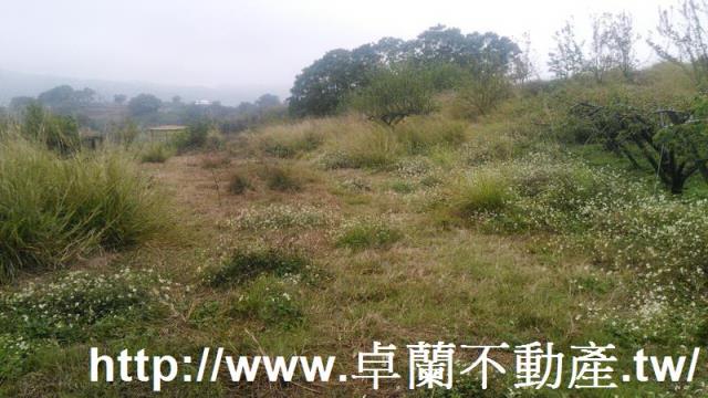 苗栗農地-1