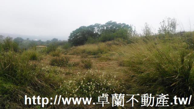 苗栗農地-2