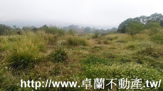 苗栗農地-3