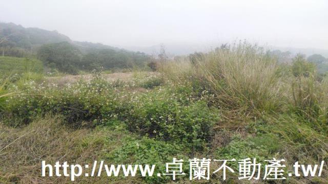 苗栗農地-5