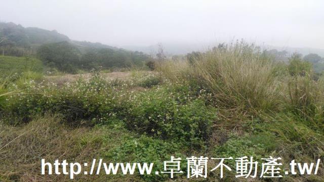 苗栗農地-6
