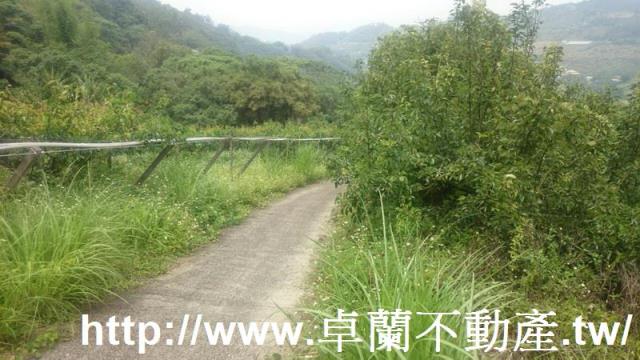卓蘭農地-1