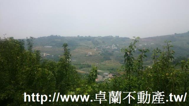 卓蘭農地-4